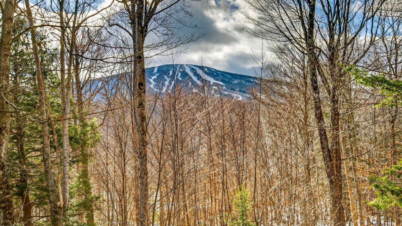 Photo of Others in Stratton Mountain