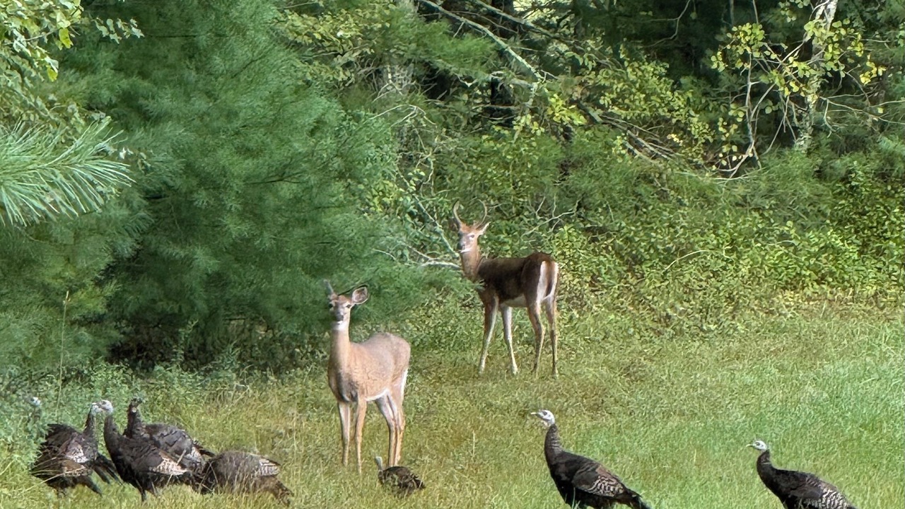Photo of Others in Wood River Junction