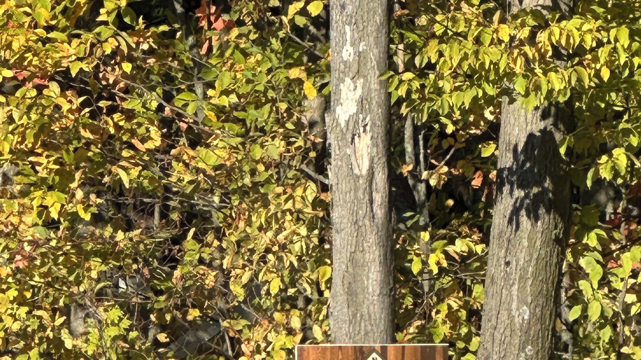 Photo of Outdoor in Franklin