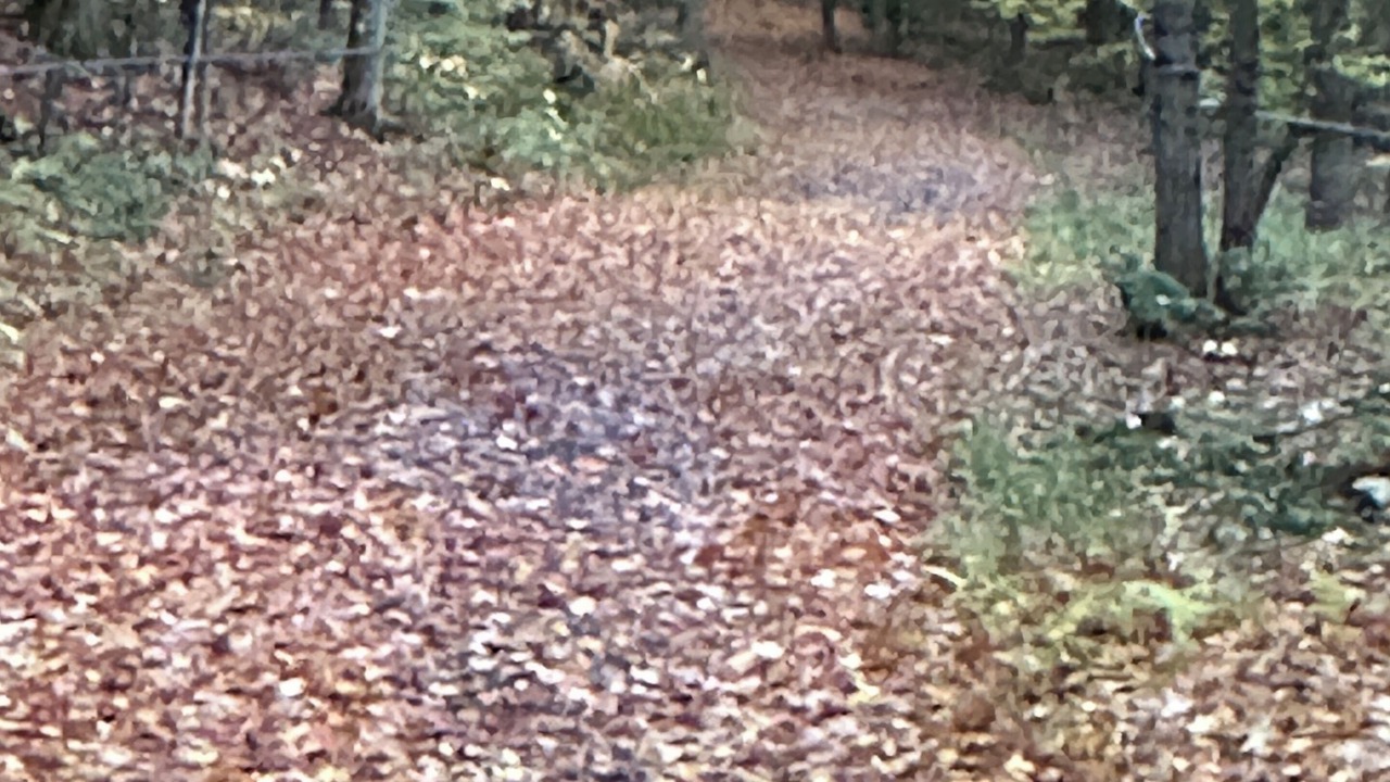 Photo of Others in Franklin