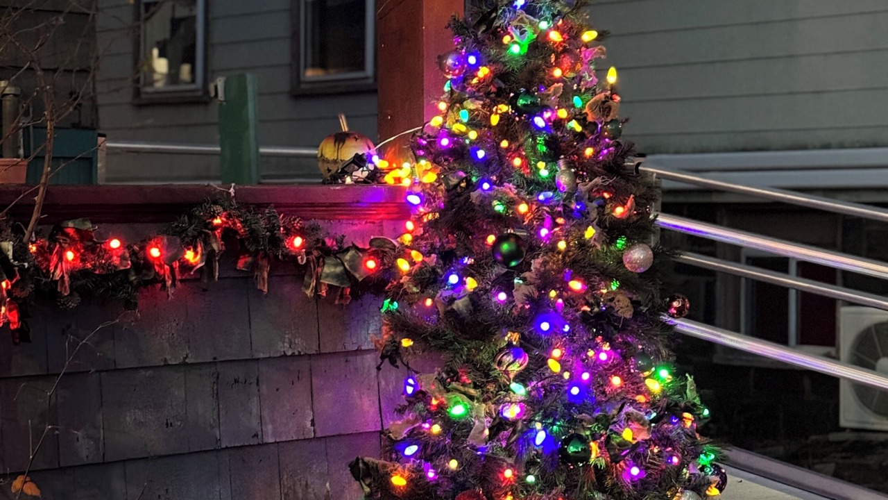Photo of Outdoor in Somerville