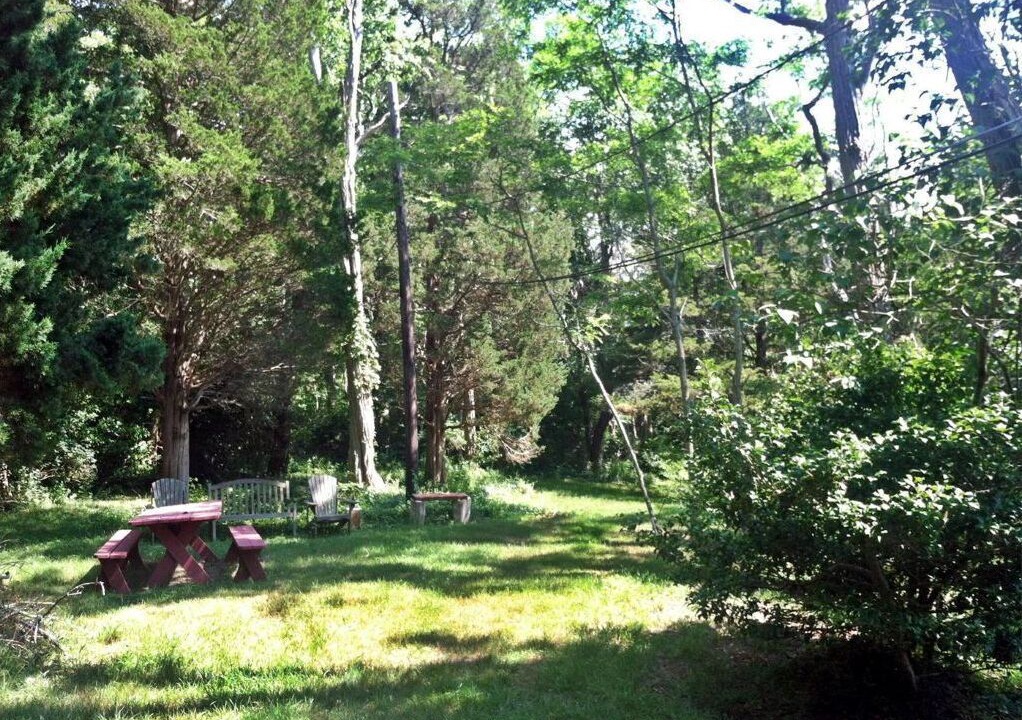 Photo of Outdoor in Vineyard Haven
