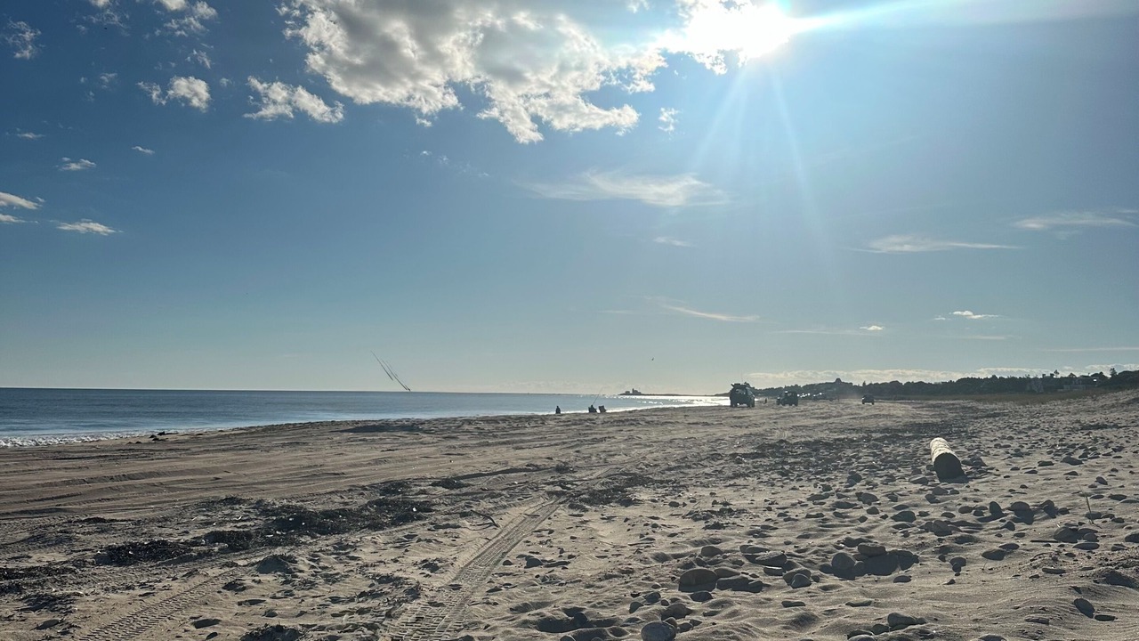 Photo of Others in Westerly