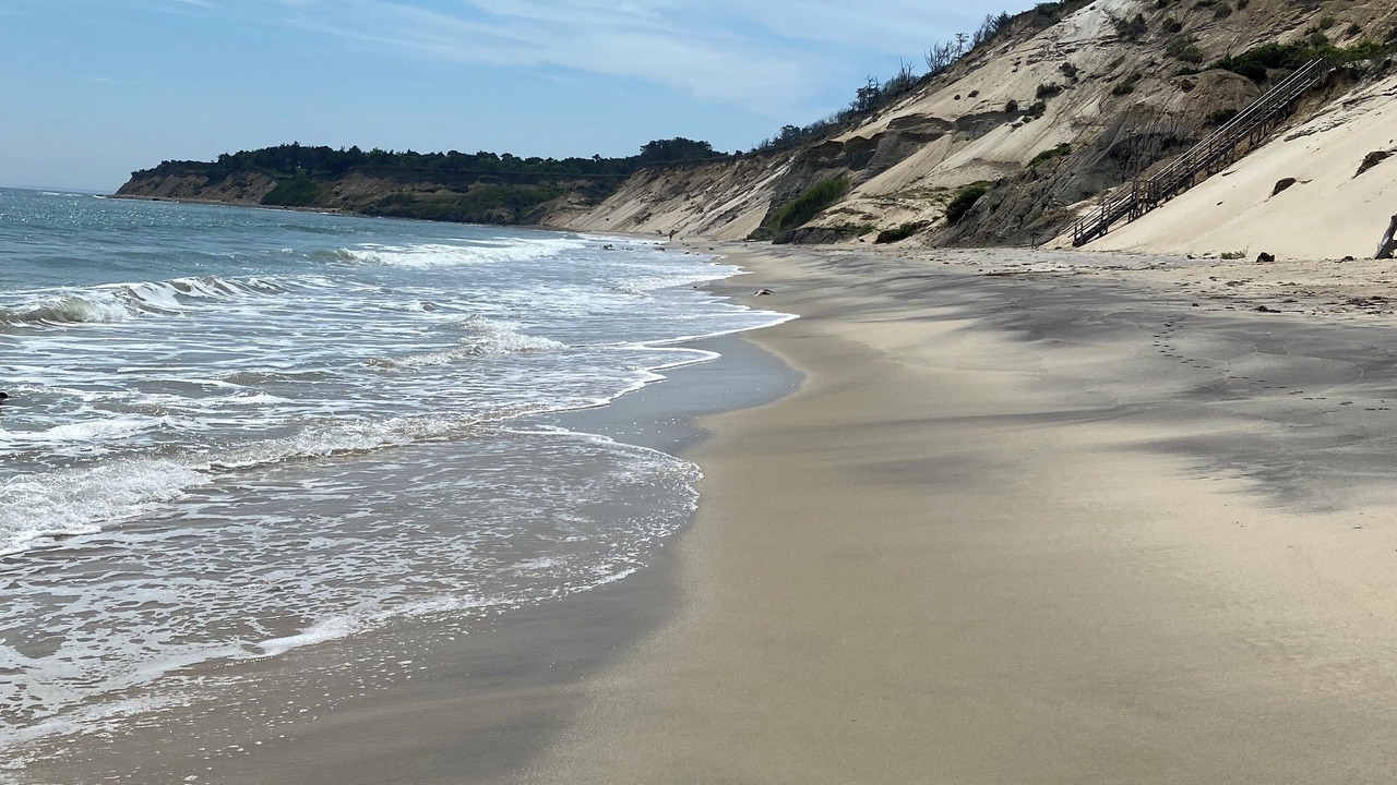 Photo of Others in Chilmark