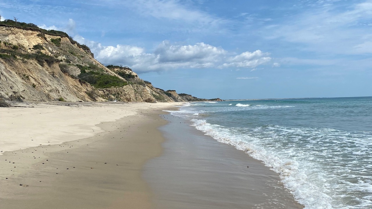 Photo of Others in Chilmark