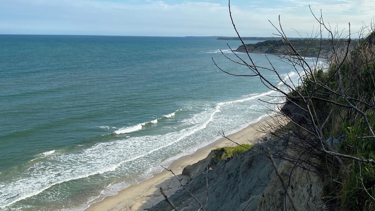 Photo of Others in Chilmark