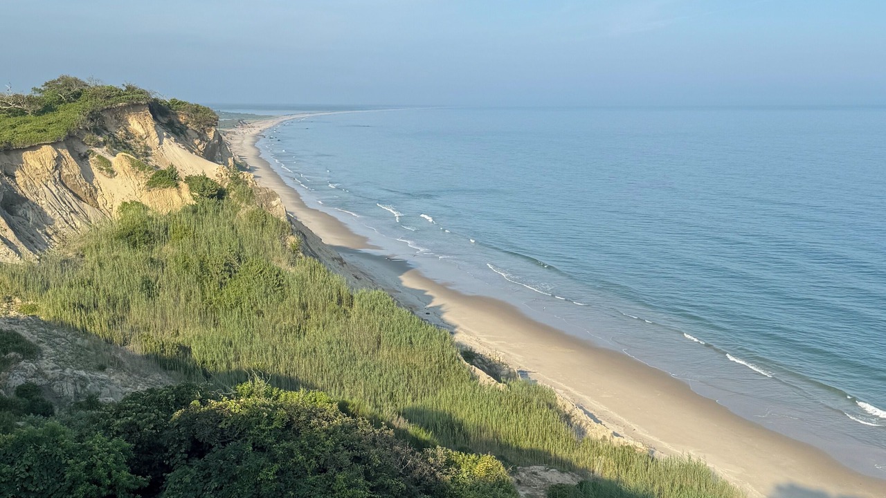Photo of Others in Chilmark