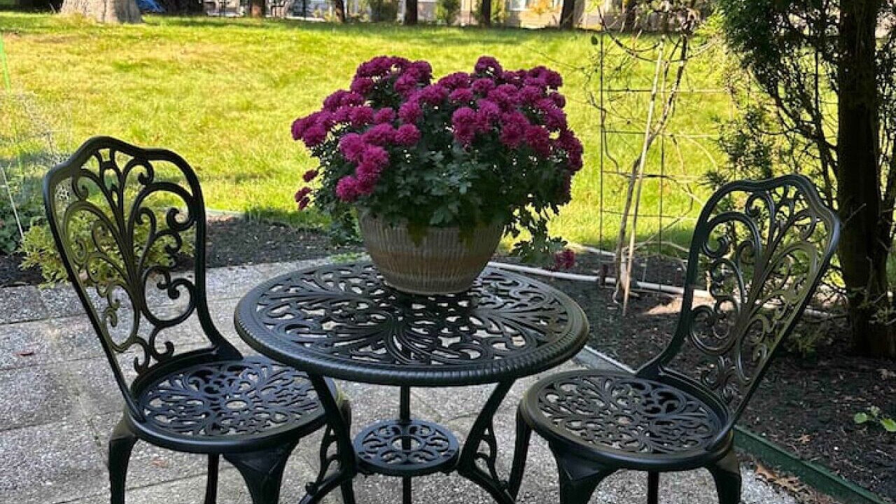 Photo of Outdoor in Stony Brook