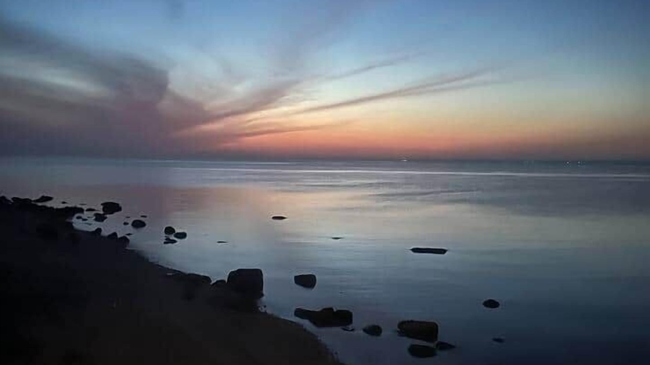 Photo of Others in Greenport West