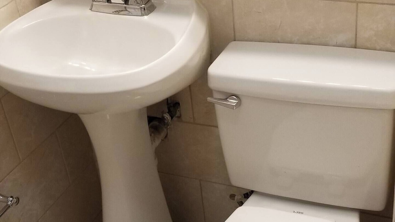 Photo of Bathroom in Roxbury