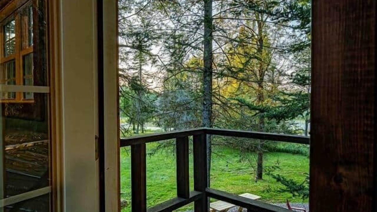 Photo of Outdoor in Forestport