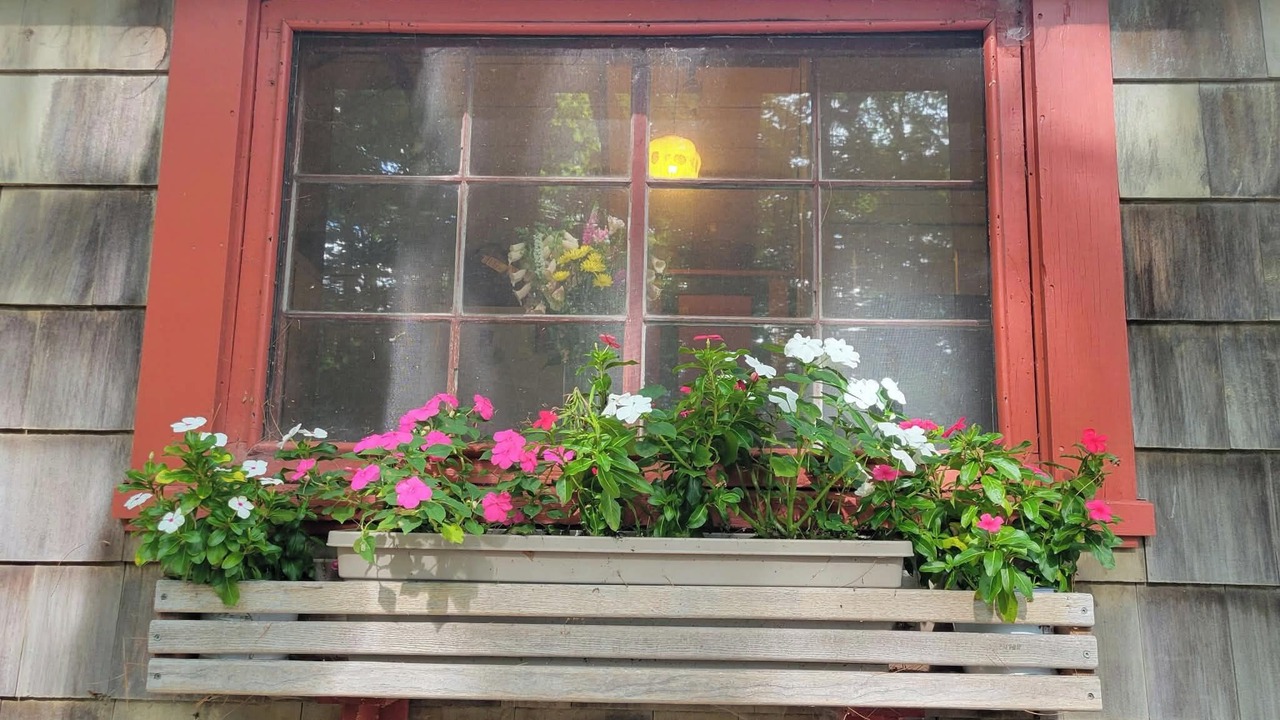 Photo of Outdoor in Gray