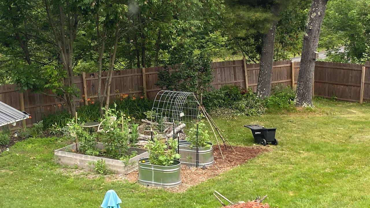 Photo of Outdoor in Topsham