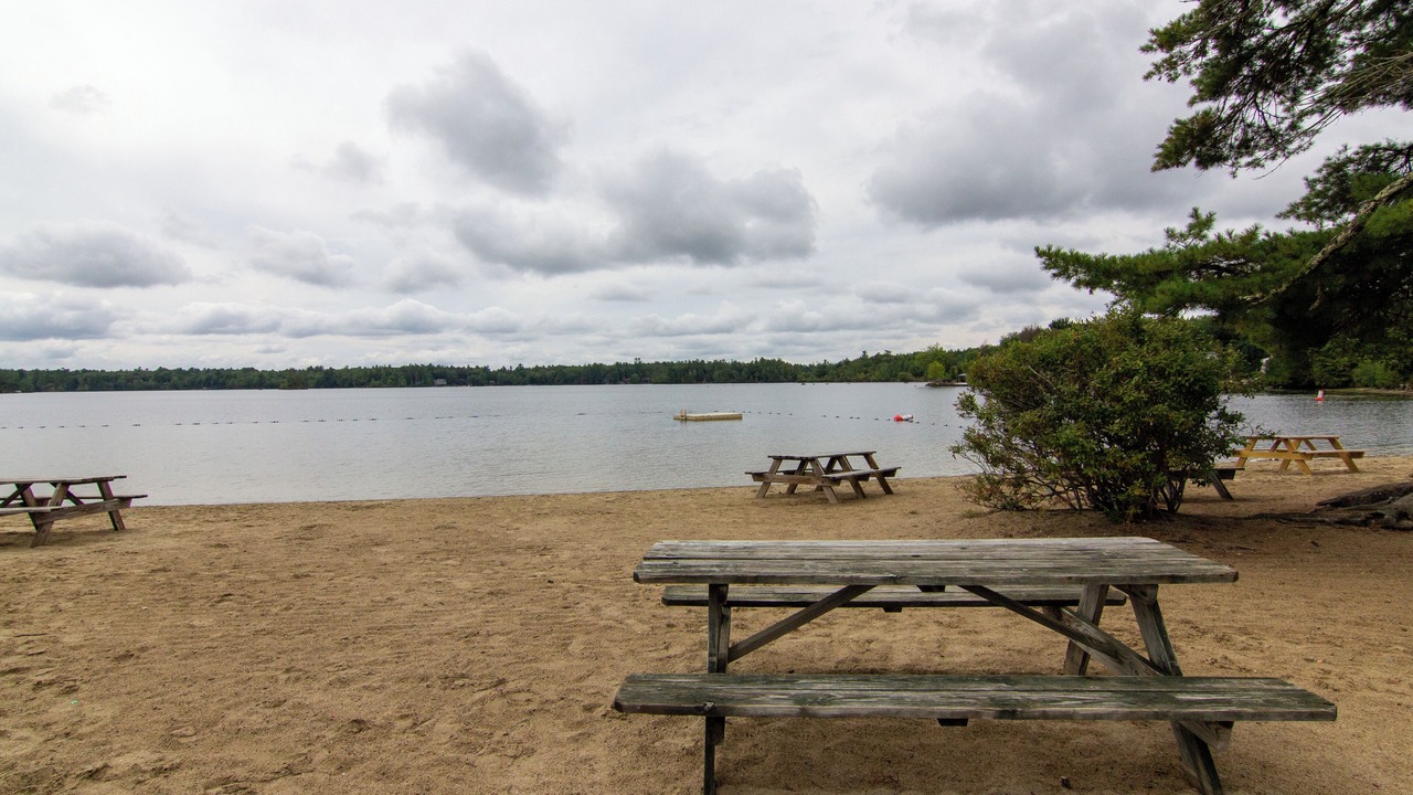Photo of Others in Moultonborough