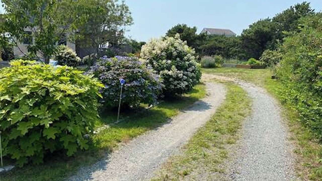 Photo of Outdoor in North Truro