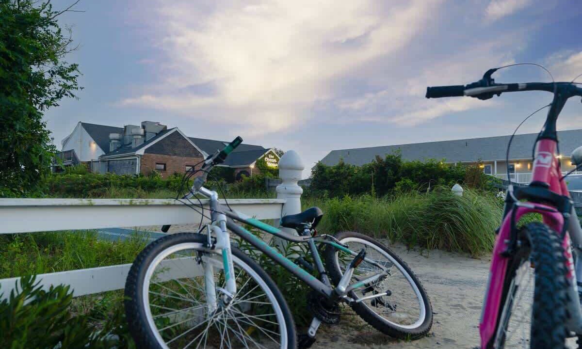 Photo of Others in South Dennis