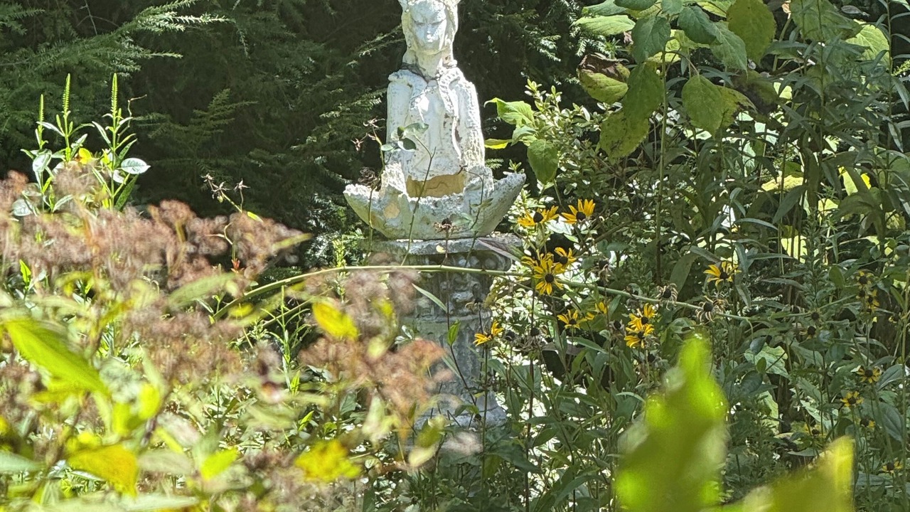Photo of Outdoor in Haversham