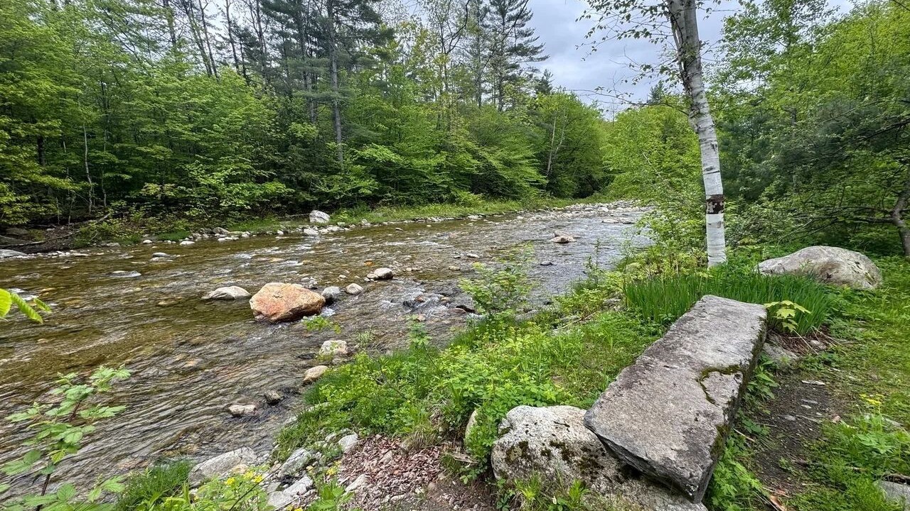 Photo of Others in Wardsboro