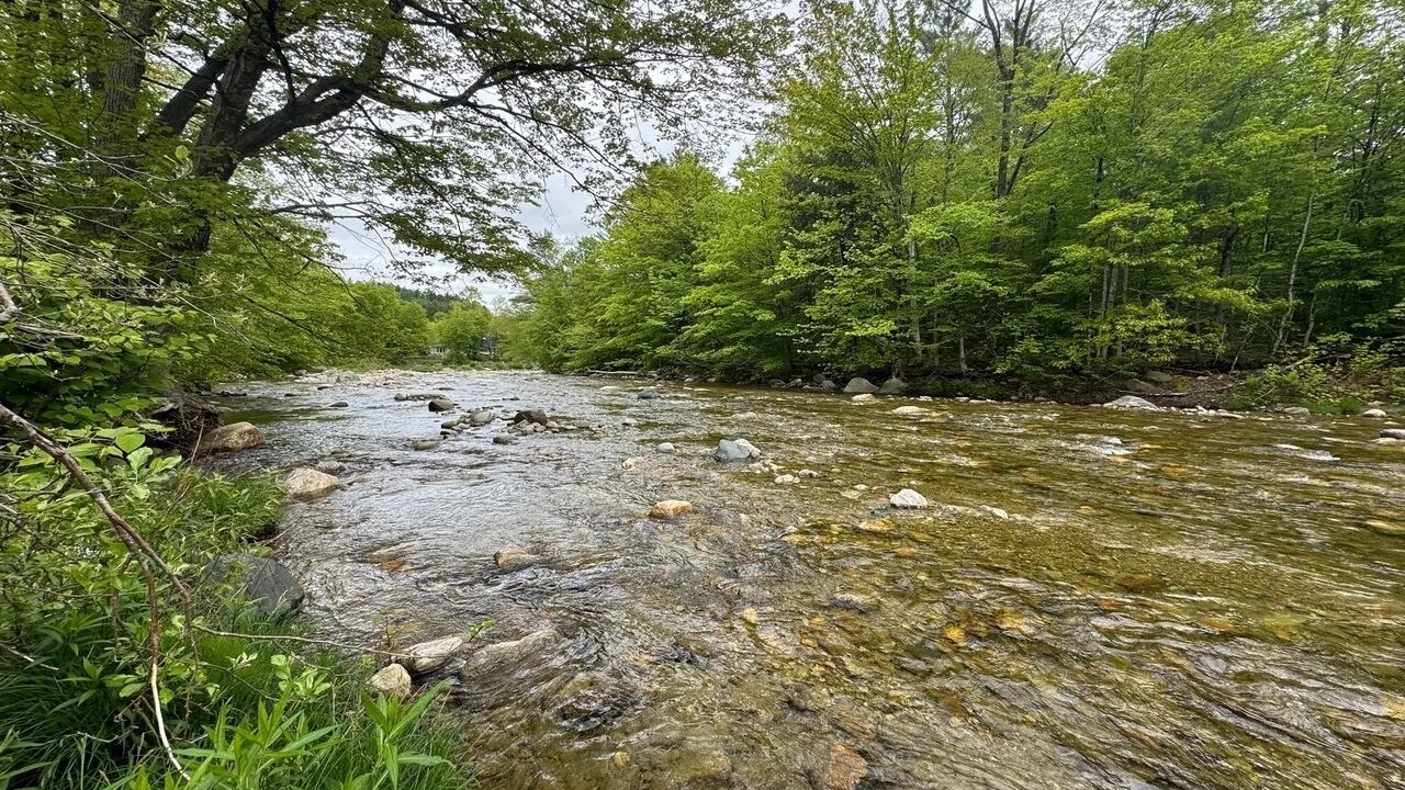 Photo of Others in Wardsboro