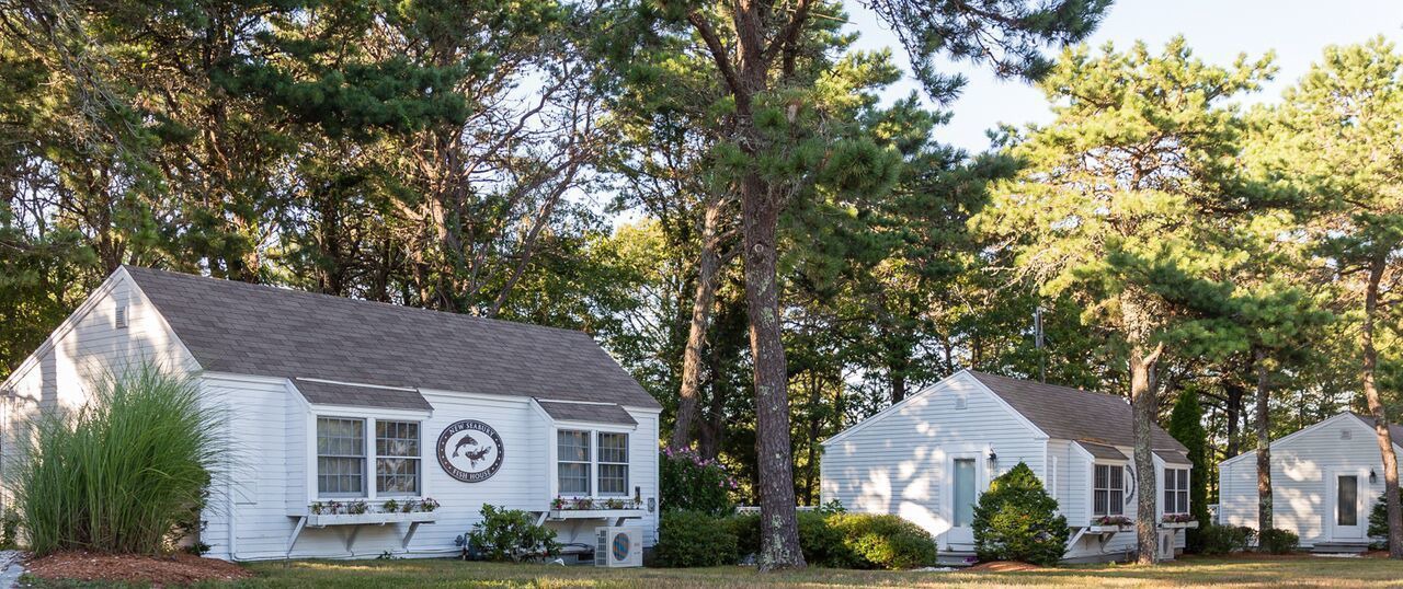 Photo of Outdoor in Mashpee