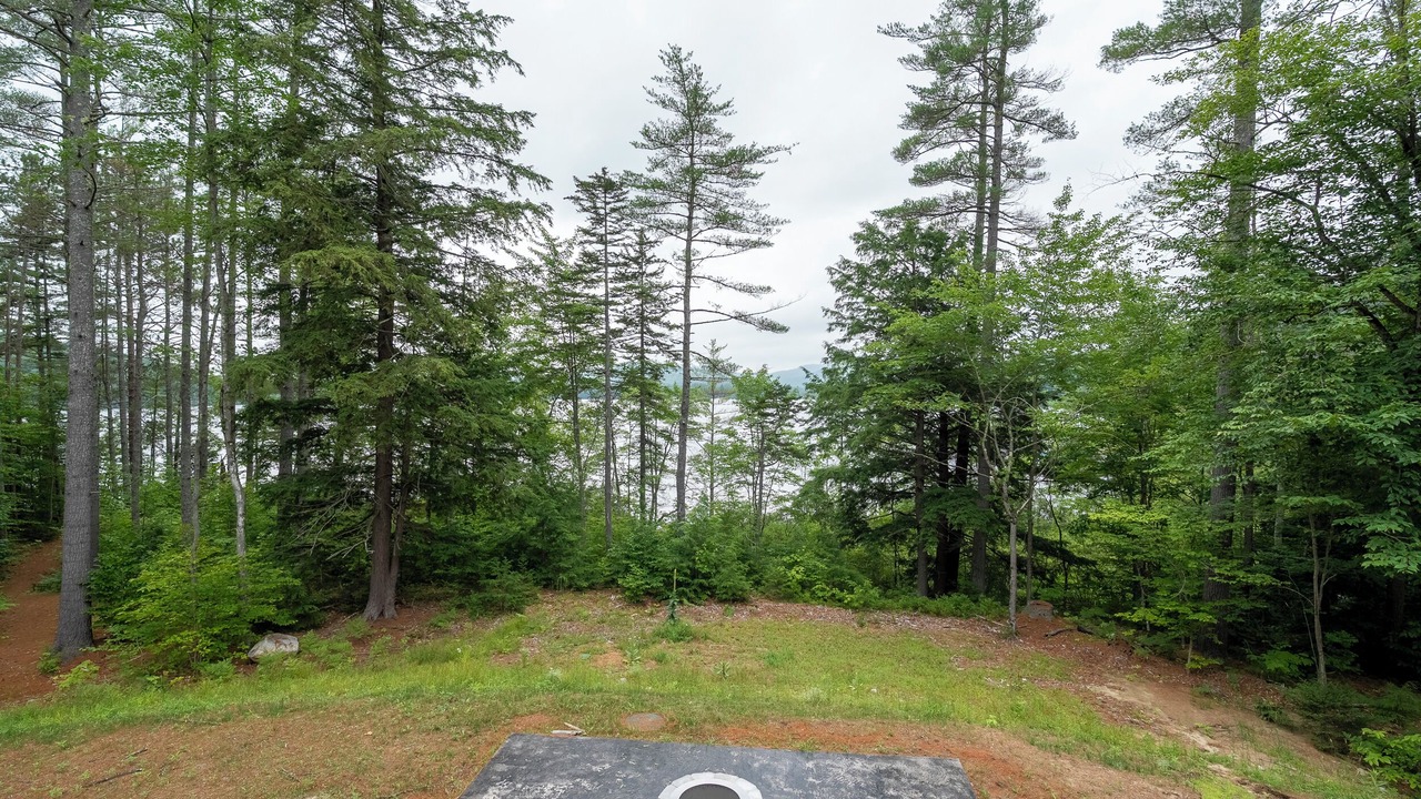 Photo of Outdoor in South Pond Shores