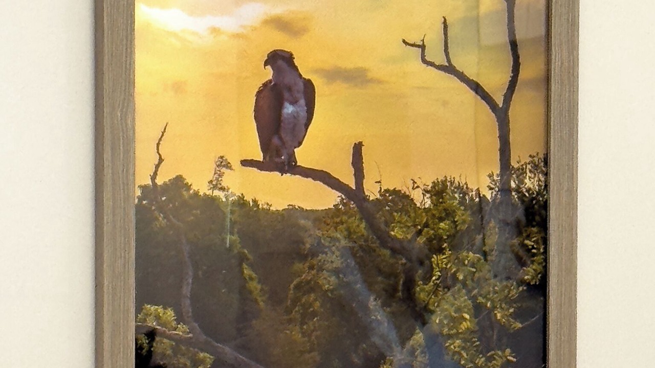 Photo of Others in Mattituck