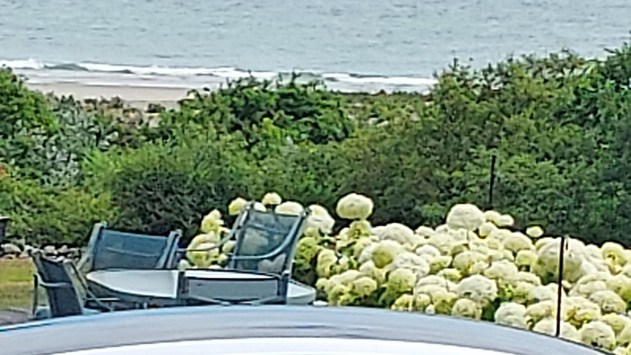 Photo of Others in Ocean Bluff-Brant Rock