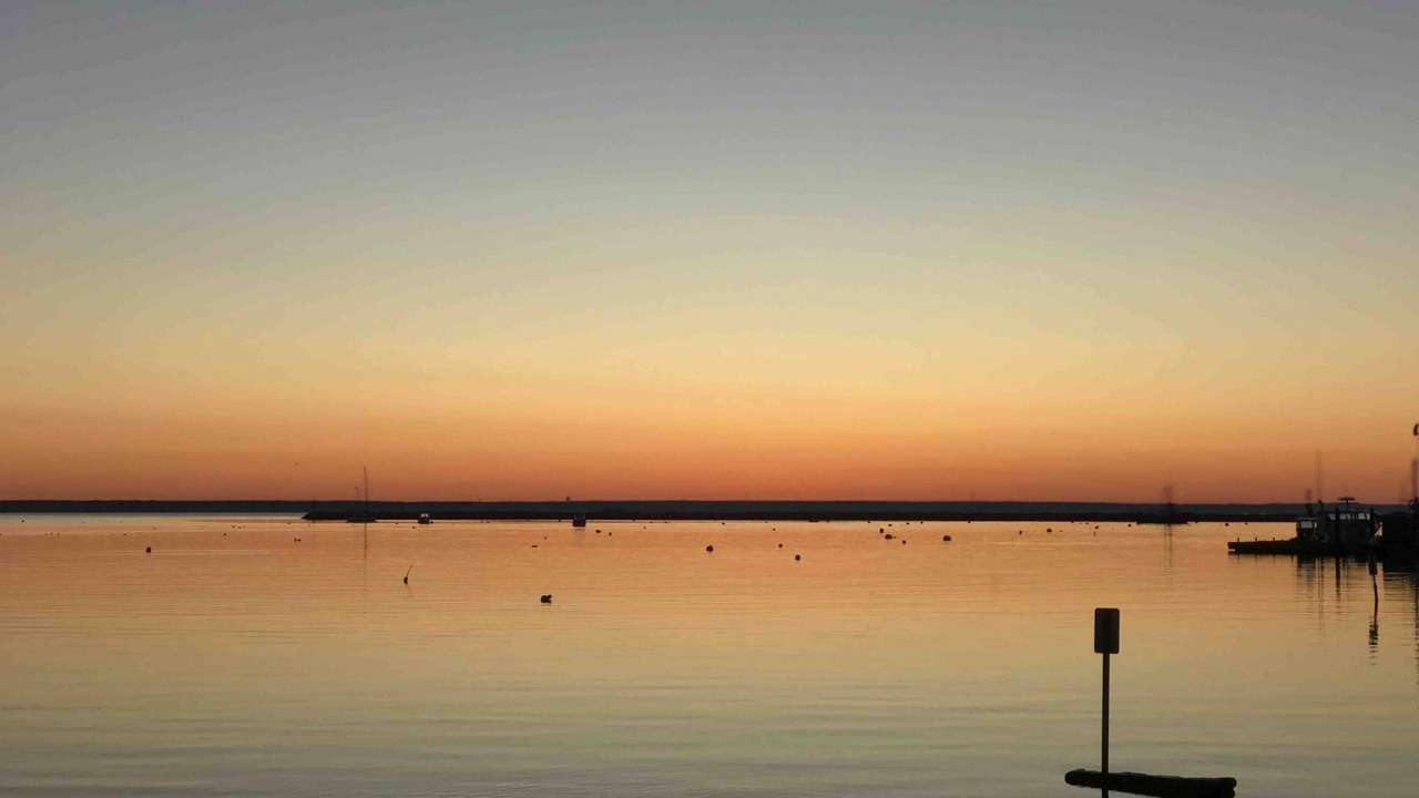 Photo of Others in Provincetown