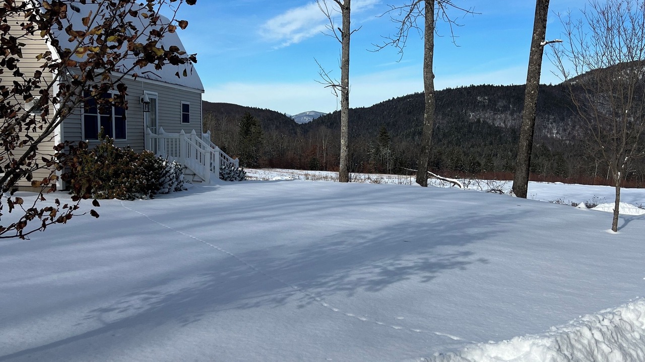 Photo of Outdoor in Center Ossipee