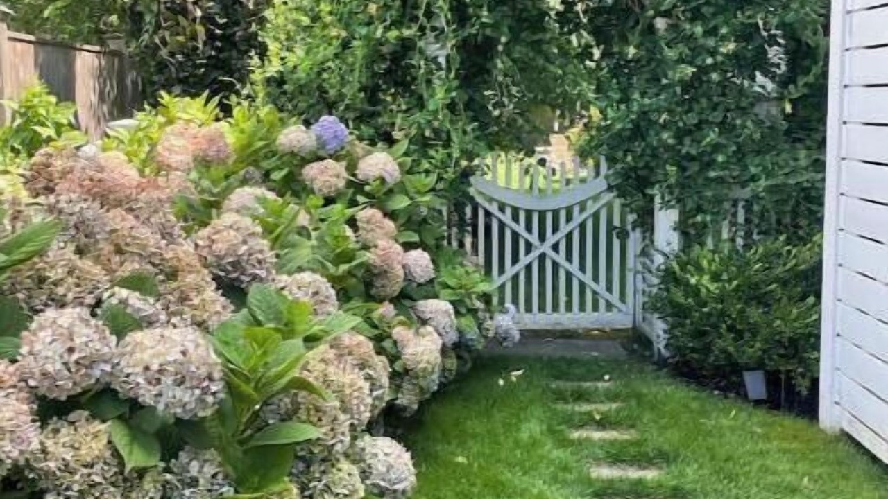 Photo of Outdoor in Fairfield