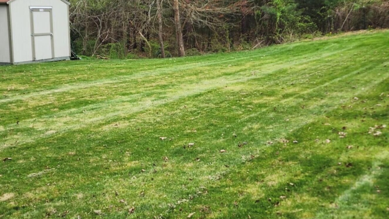 Photo of Outdoor in East Falmouth