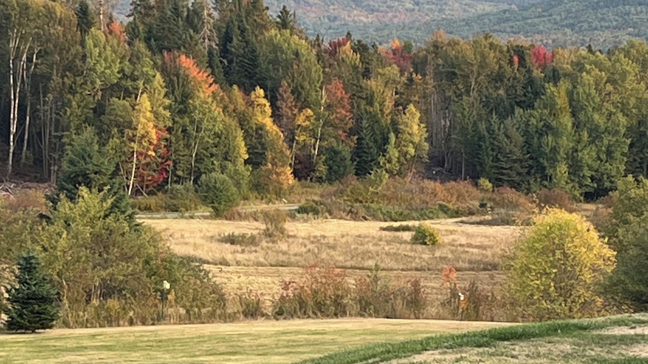 Photo of Others in Colebrook