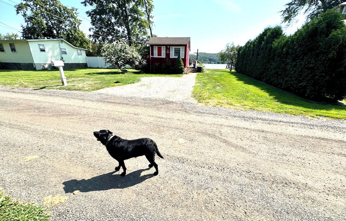 Photo of Others in Haddam