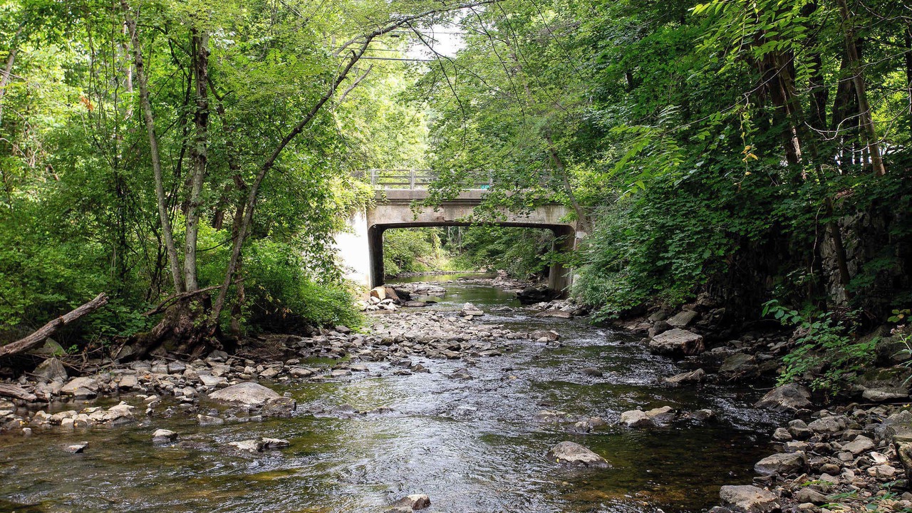 Photo of Others in Great Barrington