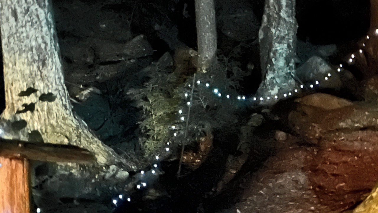 Photo of Others in Farmington Falls