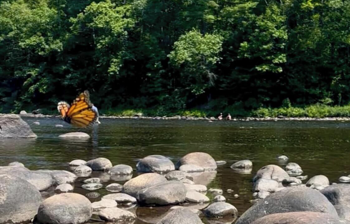 Photo of Others in North Creek