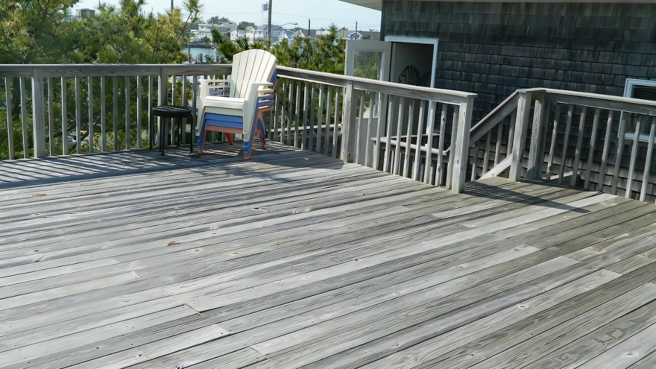 Photo of Others in Harvey Cedars