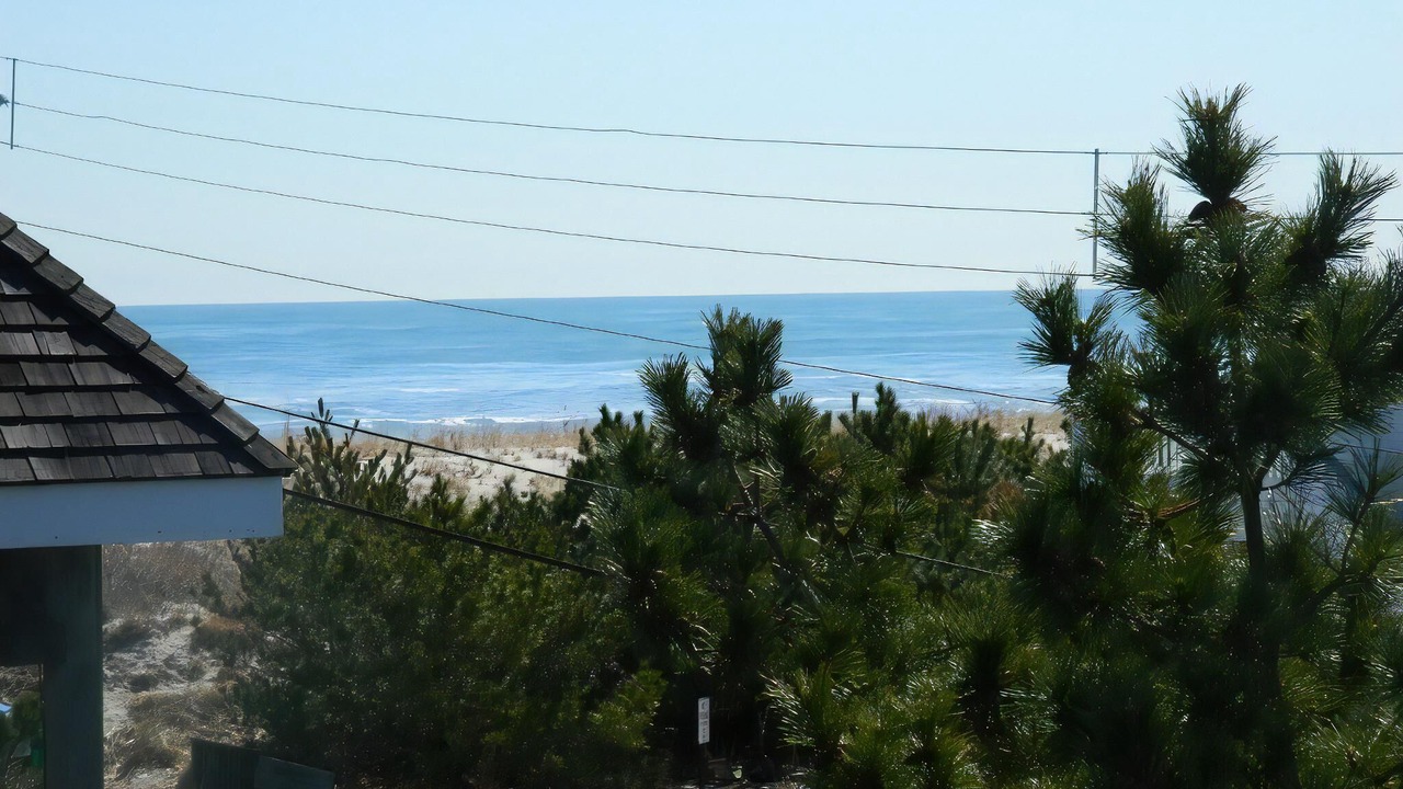 Photo of Others in Harvey Cedars