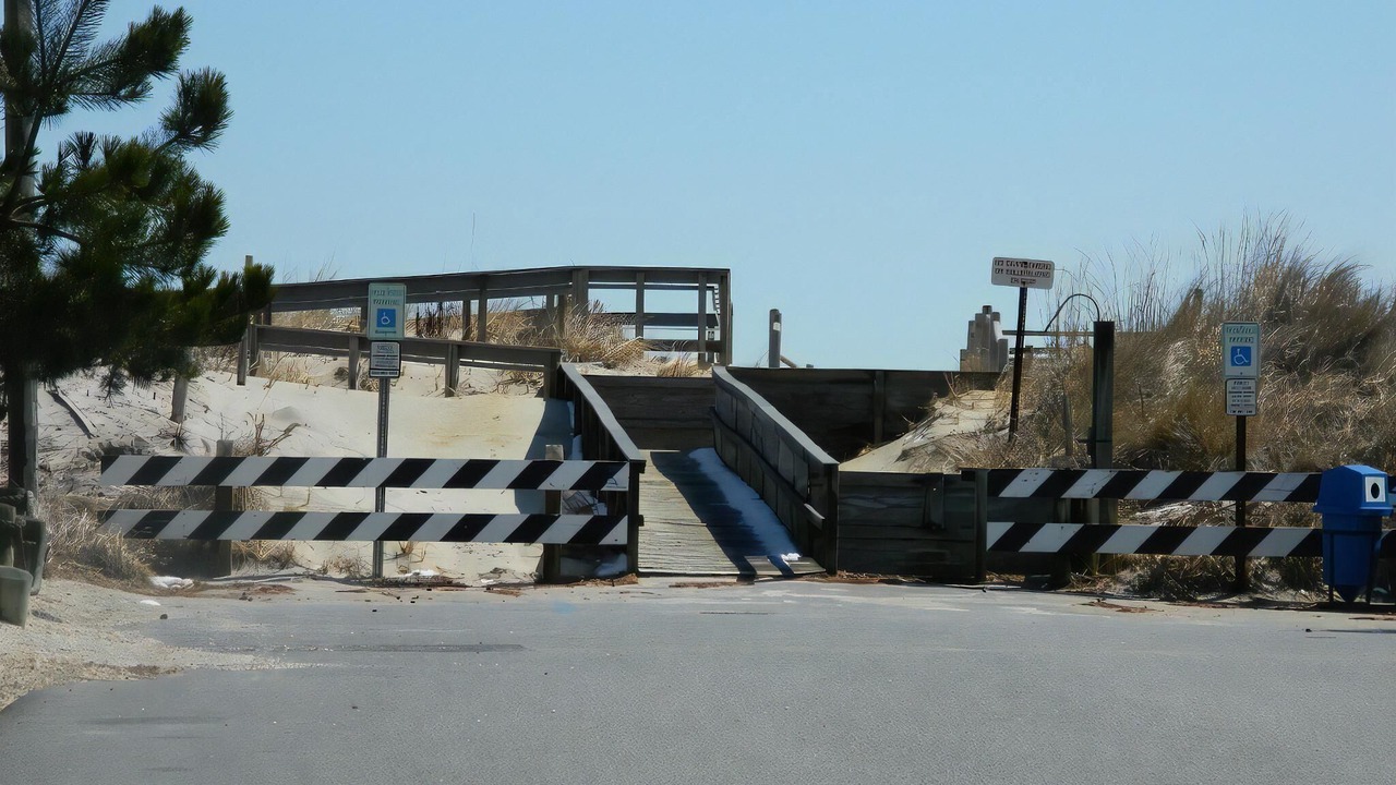 Photo of Others in Harvey Cedars