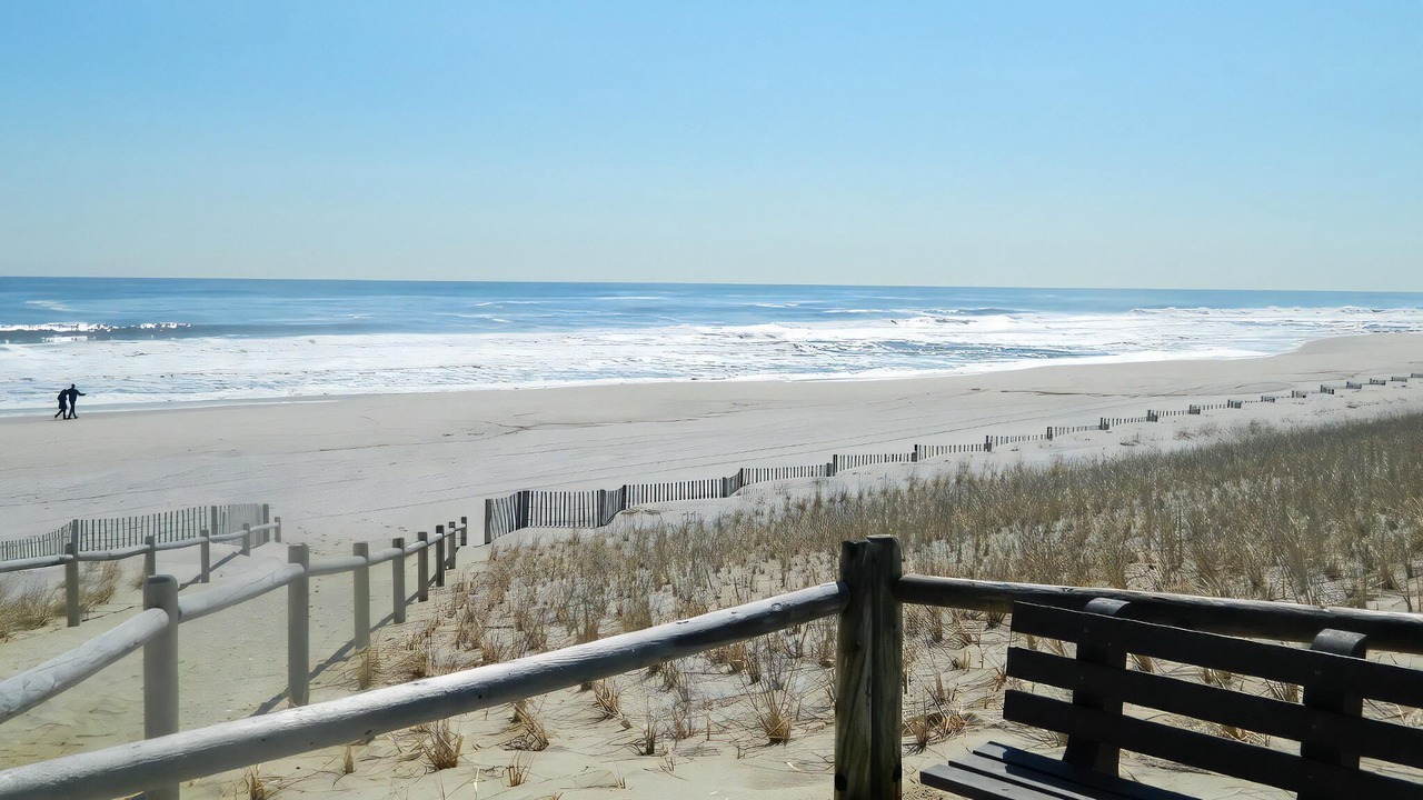 Photo of Others in Harvey Cedars
