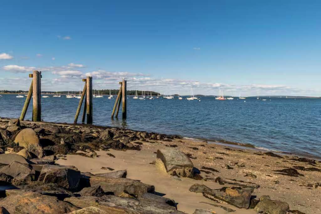 Photo of Others in Munjoy Hill