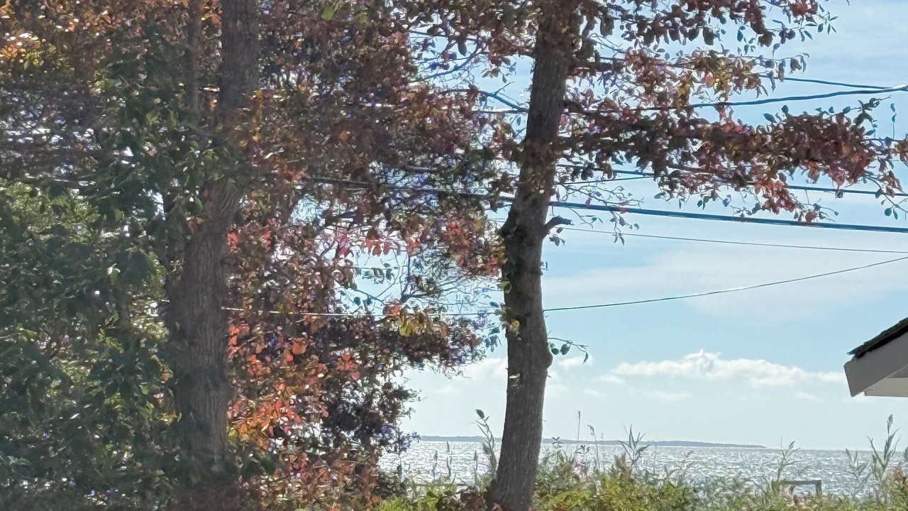 Photo of Outdoor in Mattapoisett