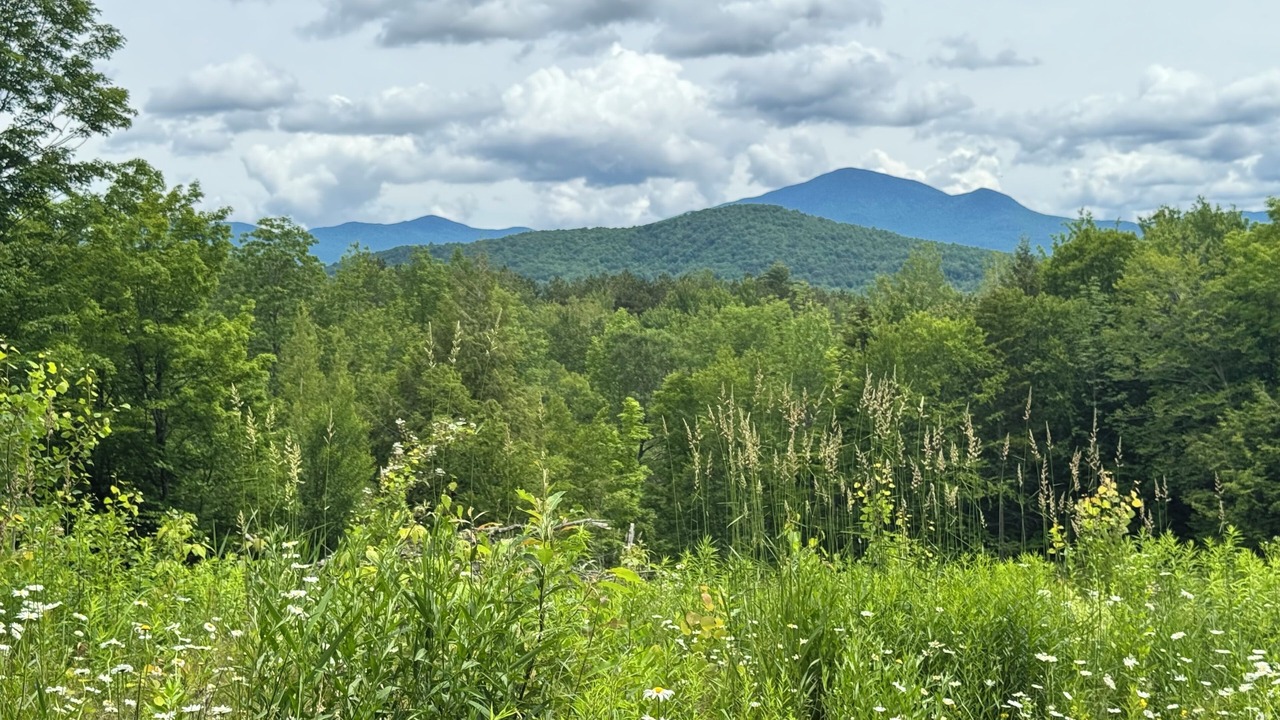 Photo of Others in Green Mountains