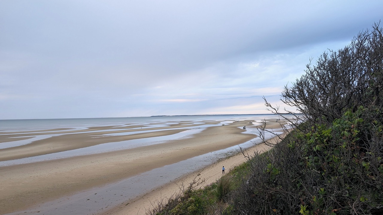 Photo of Others in North Eastham