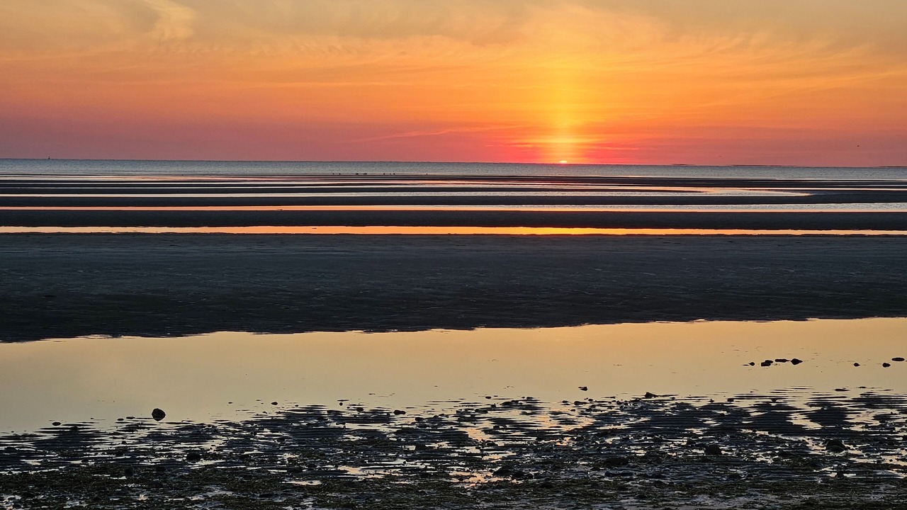Photo of Others in North Eastham