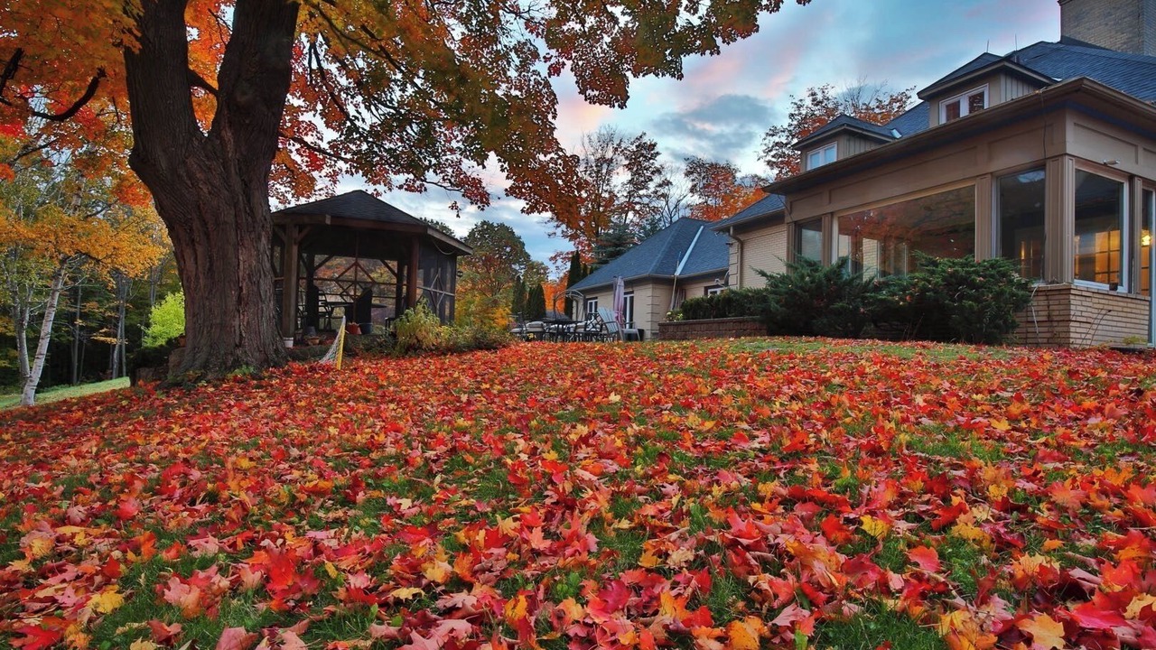 Photo of Outdoor in King