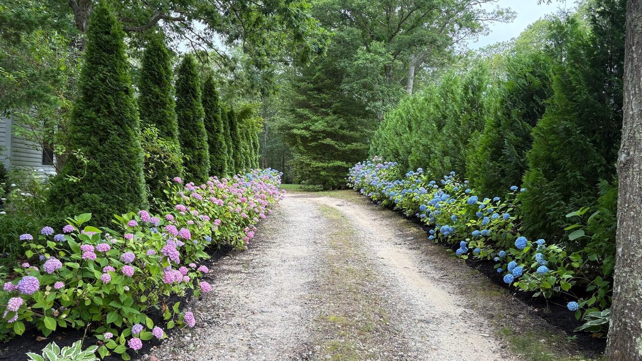 Photo of Outdoor in Vineyard Haven