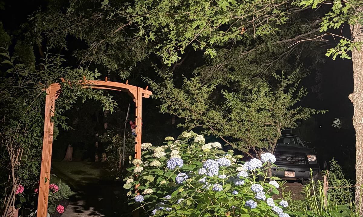 Photo of Outdoor in Vineyard Haven