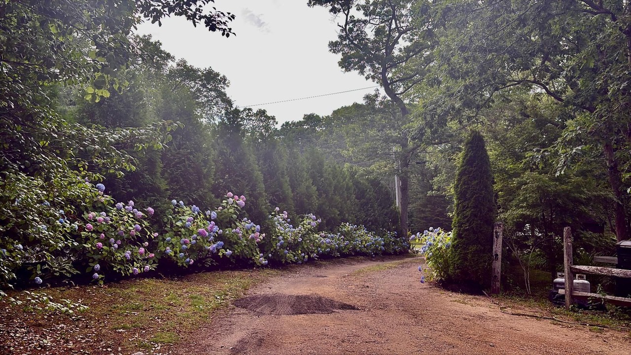 Photo of Outdoor in Vineyard Haven