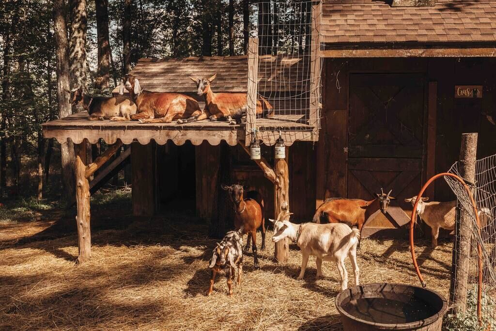 Photo of Others in Kerhonkson